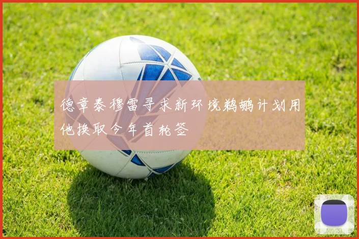 德章泰穆雷寻求新环境鹈鹕计划用他换取今年首轮签